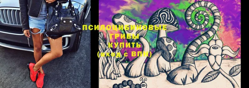 Галлюциногенные грибы Cubensis  Слюдянка 